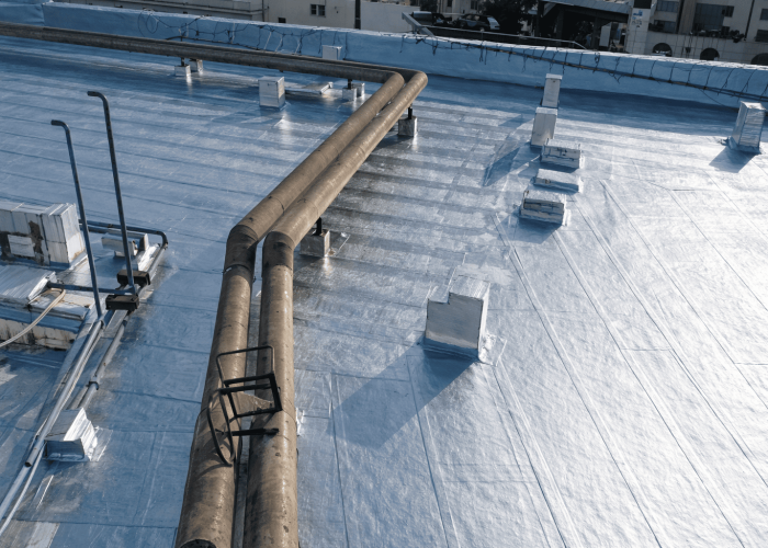 Membrane Systems (1)